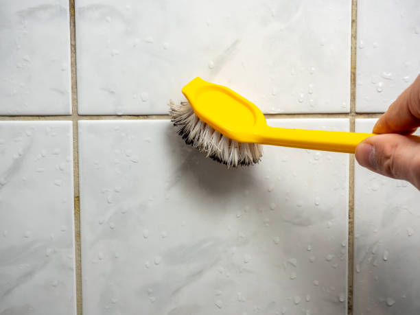 Best Office Mold Removal Services  in Clearfield, UT