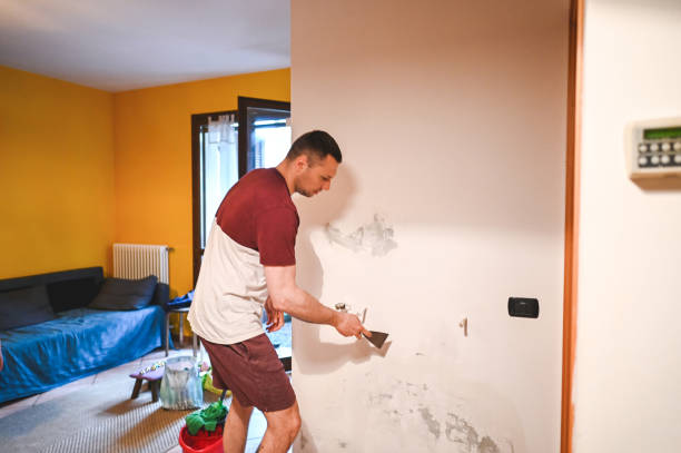 Best Commercial Mold Removal  in Clearfield, UT